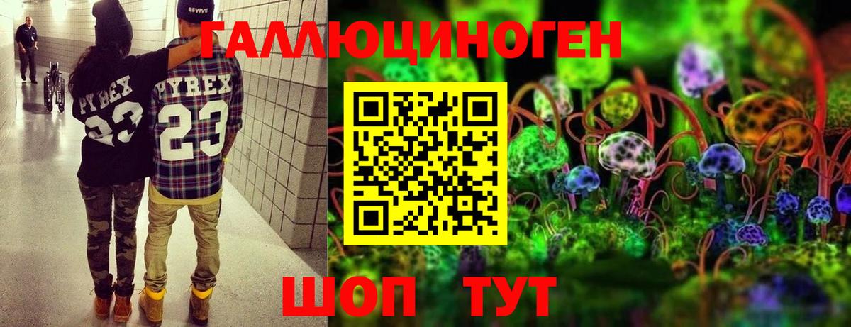 закладки  Вход с VPN  Чита  Псилоцибиновые грибы мухоморы 