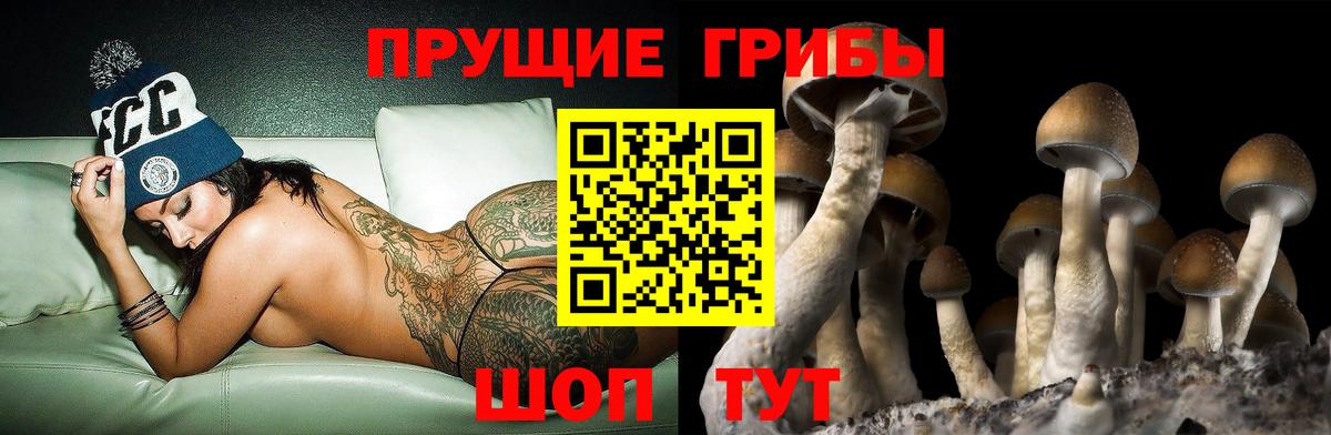 Псилоцибиновые грибы мухоморы Чита